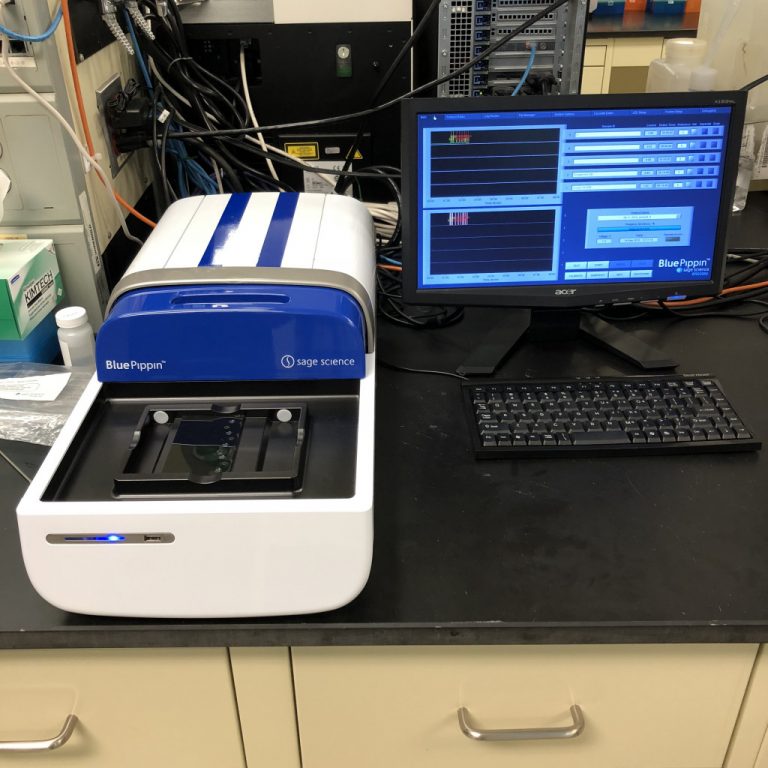 Sage Science Blue Pippin DNA Size Selection System University of